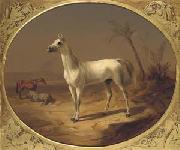 Theodor Horschelt A Grey Arabian Horse Spain oil painting artist